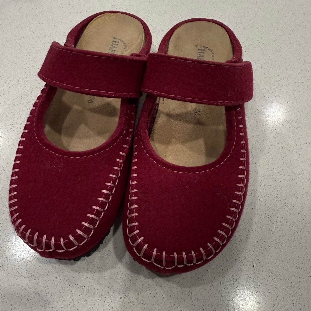 Haflinger  Red Slippers